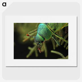 3-4_Insects-Unlocked-Project_picture