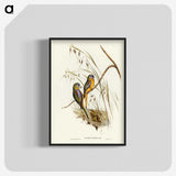 3-4_John-Gould_blk-crop