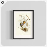 3-4_John-Gould_blk