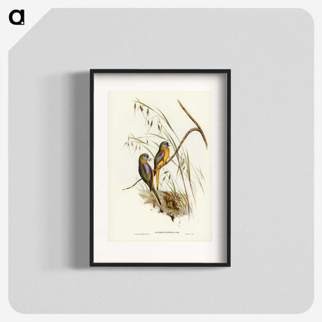 3-4_John-Gould_blk