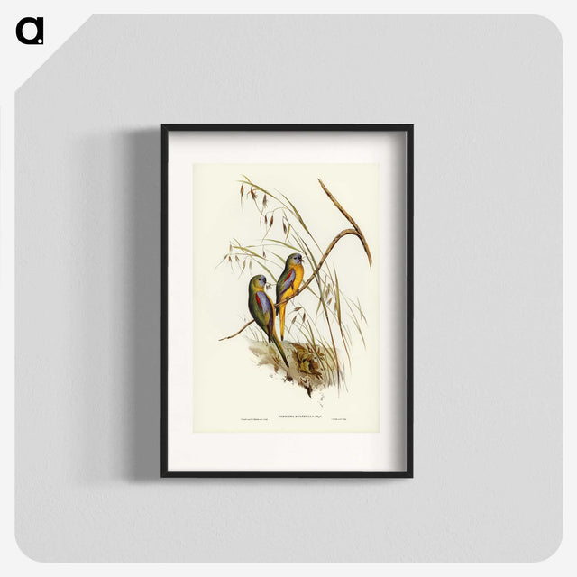 3-4_John-Gould_blk