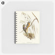 3-4_John-Gould_memo
