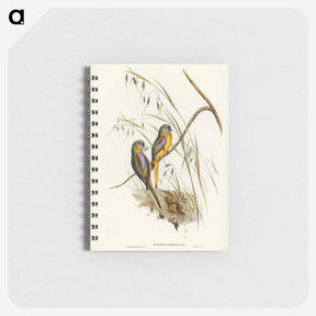 3-4_John-Gould_memo
