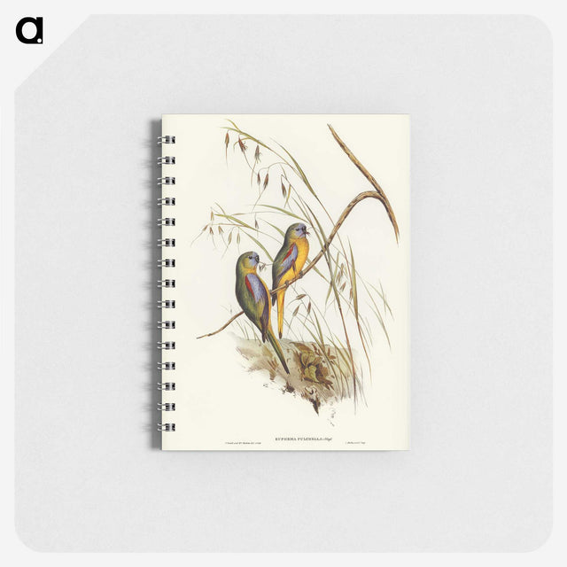 3-4_John-Gould_memo