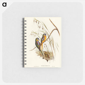 アートメモ帳-Chestnut-shouldered Grass-Parakeet
 - ジョン グールド Memo.