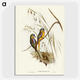 3-4_John-Gould_picture-crop