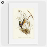 3-4_John-Gould_picture