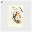 3-4_John-Gould_postcard