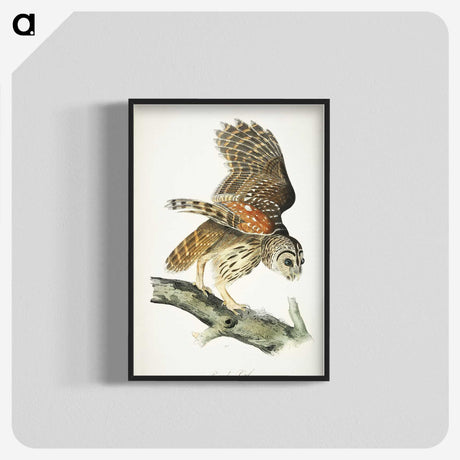 3-4_John-James-Audubon_blk-crop