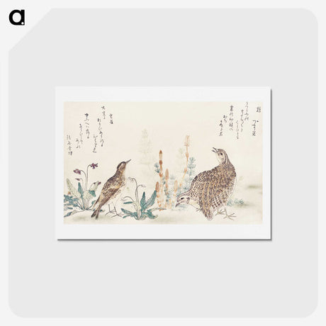 3-4_Kitagawa-Utamaro_hagaki