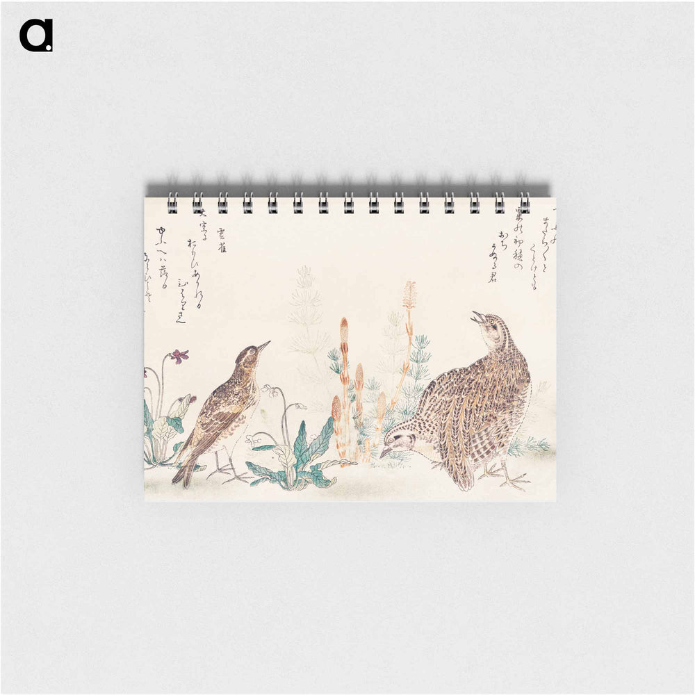 Uzura Hibari - 喜多川 歌麿 Memo.