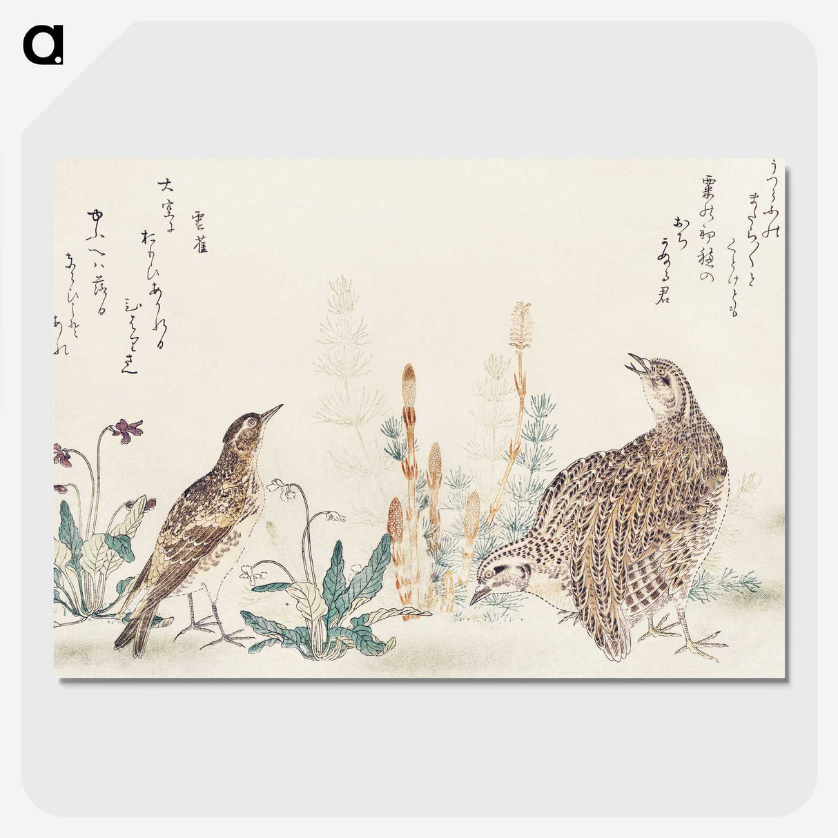 3-4_Kitagawa-Utamaro_picture-crop