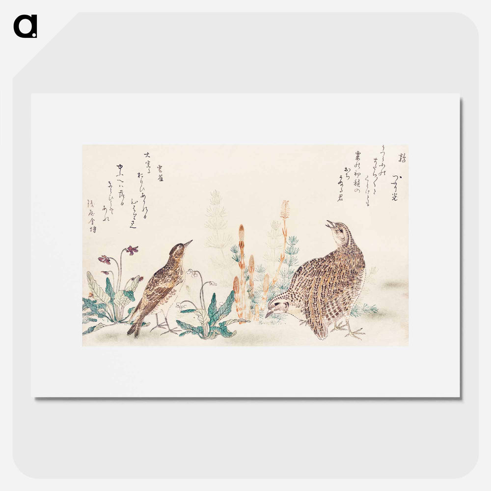 Uzura Hibari - 喜多川 歌麿 Poster.