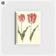 アートメモ帳-Tulipa Gesneriana
 - マリア ジビーラ メーリアン Memo.