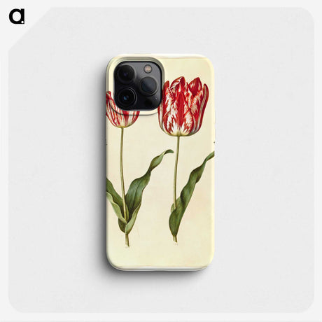 3-4_Maria-Sibylla-Merian_phone