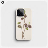 3-4_Mary-Vaux-Walcott_phone