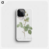 3-4_Pierre-Joseph-Redoute_phone