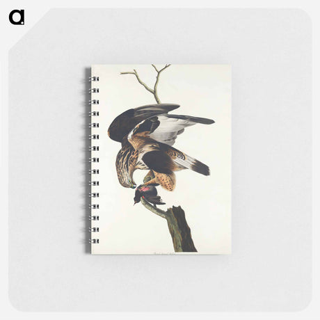 アートメモ帳-Rough-legged Falcon from Birds of America
 - アメリカの鳥たち Memo.