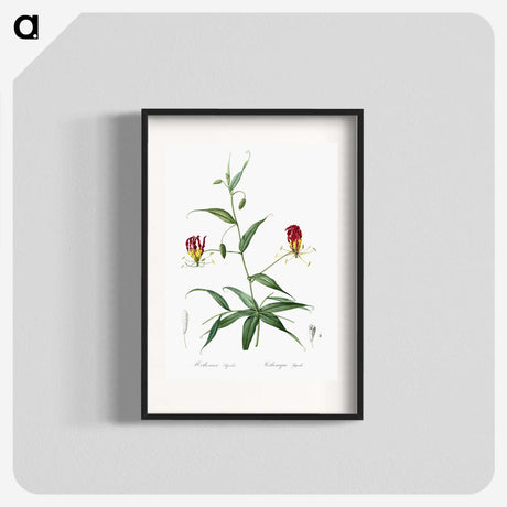 3-4_The-Lilies_blk