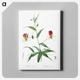 3-4_The-Lilies_canvas