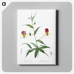 3-4_The-Lilies_canvas