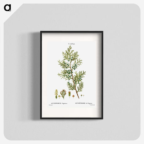 3-4_Treatise-on-Trees-and-Shrubs_blk