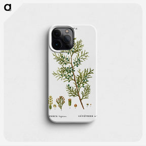 3-4_Treatise-on-Trees-and-Shrubs_phone