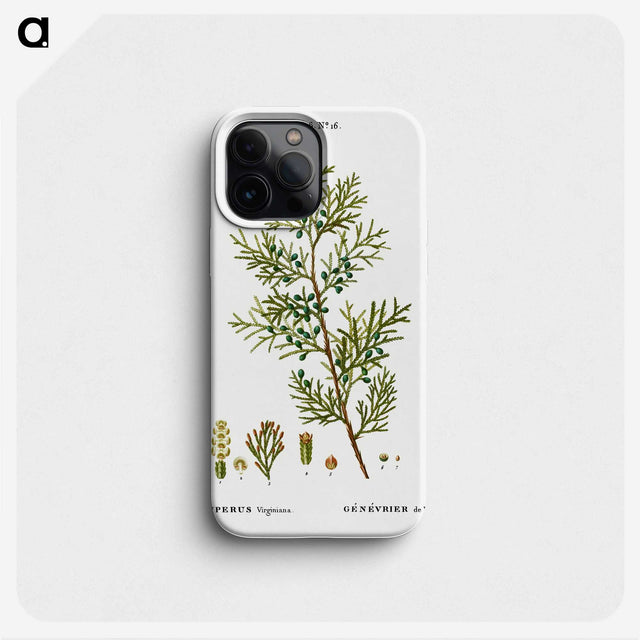 3-4_Treatise-on-Trees-and-Shrubs_phone