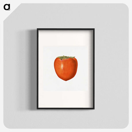 3-4_USDA-Watercolor-Fruit-Painting-Collection_blk