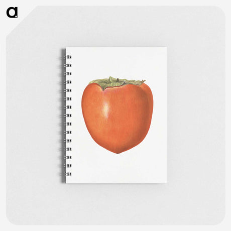 3-4_USDA-Watercolor-Fruit-Painting-Collection_memo