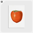 3-4_USDA-Watercolor-Fruit-Painting-Collection_postcard
