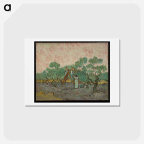 アートポストカード-Women Picking Olives - フィンセント ファン ゴッホ Postcard.