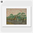 3-4_Vincent-van-Gogh_picture