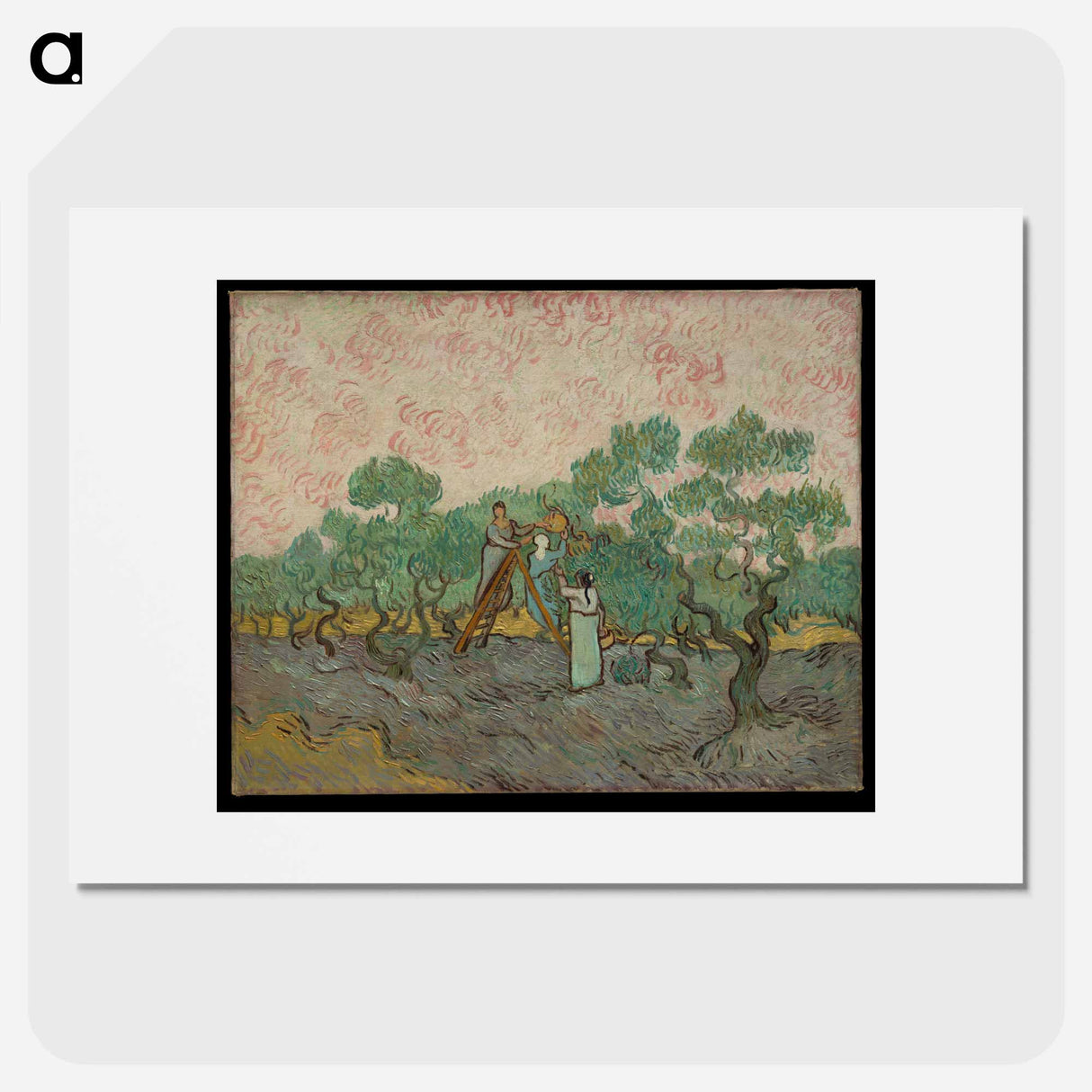 Women Picking Olives - Vincent van Gogh Poster.