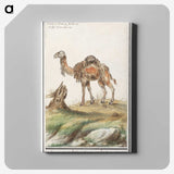 3-50_Anselmus-Boetius-de-Boodt_canvas