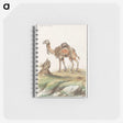 3-50_Anselmus-Boetius-de-Boodt_memo