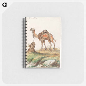アートメモ帳-Dromedary - アンセルムス ボエティウス デ ブート Memo.