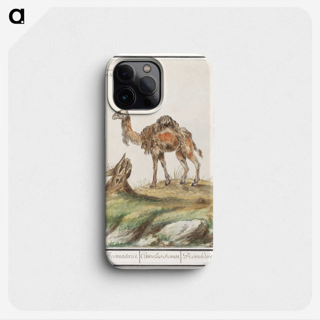 3-50_Anselmus-Boetius-de-Boodt_phone