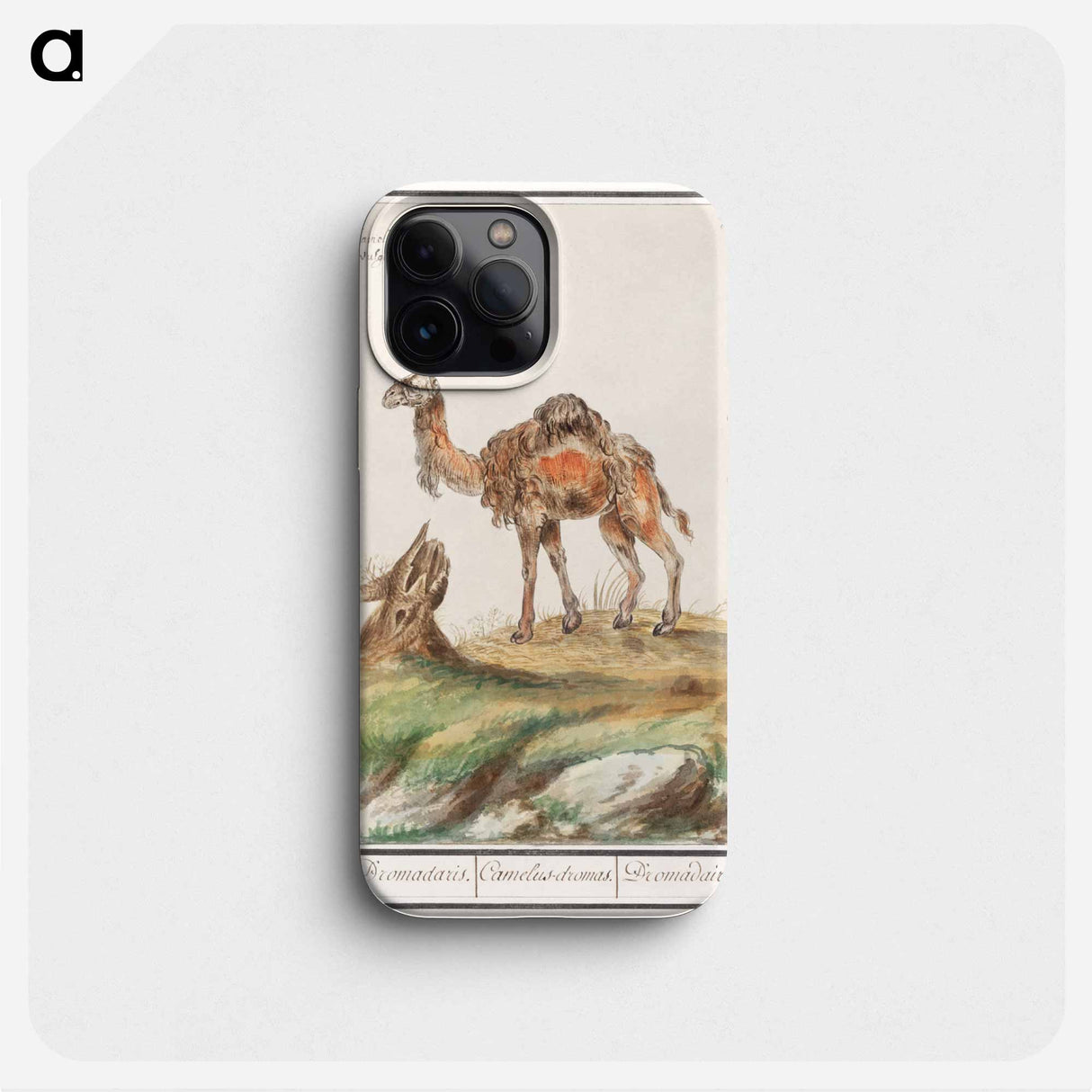 Dromedary - アンセルムス ボエティウス デ ブート Phone Case.