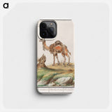 Dromedary - アンセルムス ボエティウス デ ブート Phone Case.
