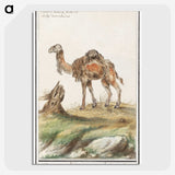 3-50_Anselmus-Boetius-de-Boodt_picture-crop