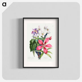 アートポスター-Cours d'Histoire Naturelle
 - クリーブランド美術館 Poster.