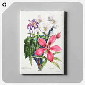 アートパネル-Cours d'Histoire Naturelle
 - クリーブランド美術館 Canvas.