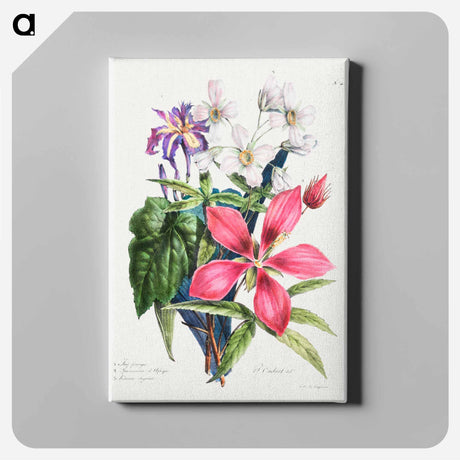 アートパネル-Cours d'Histoire Naturelle
 - クリーブランド美術館 Canvas.