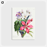 アートポストカード-Cours d'Histoire Naturelle
 - クリーブランド美術館 Postcard.