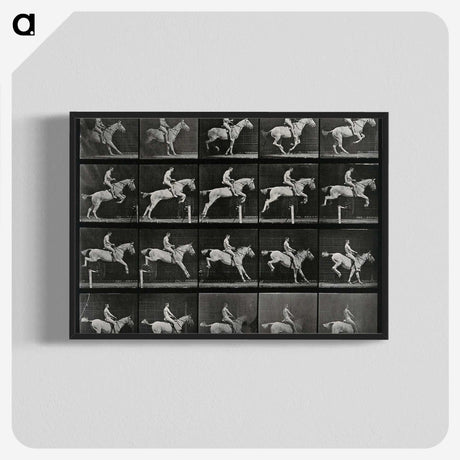 3-50_Eadweard-Muybridge_blk-crop