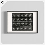 3-50_Eadweard-Muybridge_blk