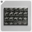 3-50_Eadweard-Muybridge_canvas