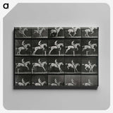 3-50_Eadweard-Muybridge_canvas