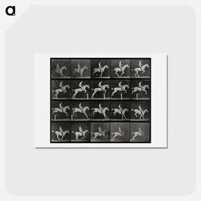 アートポストカード-Jumping Horse
 - エドワード マイブリッジ Postcard.